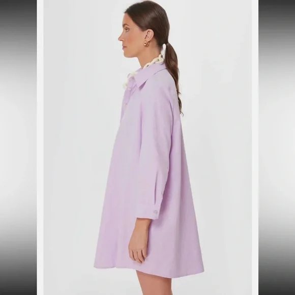 Tuckernuck Pomander Place Lavender Oxford Harris Button Up Dress, Size XL - Picture 4 of 15